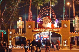 Santa's Enchanted Forest Photos