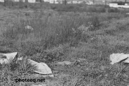 Black Dahlia Crime Scene Photos