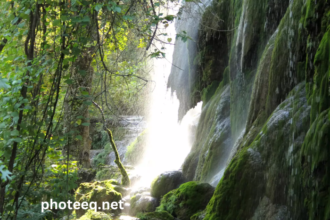 Colorado Bend State Park Photos